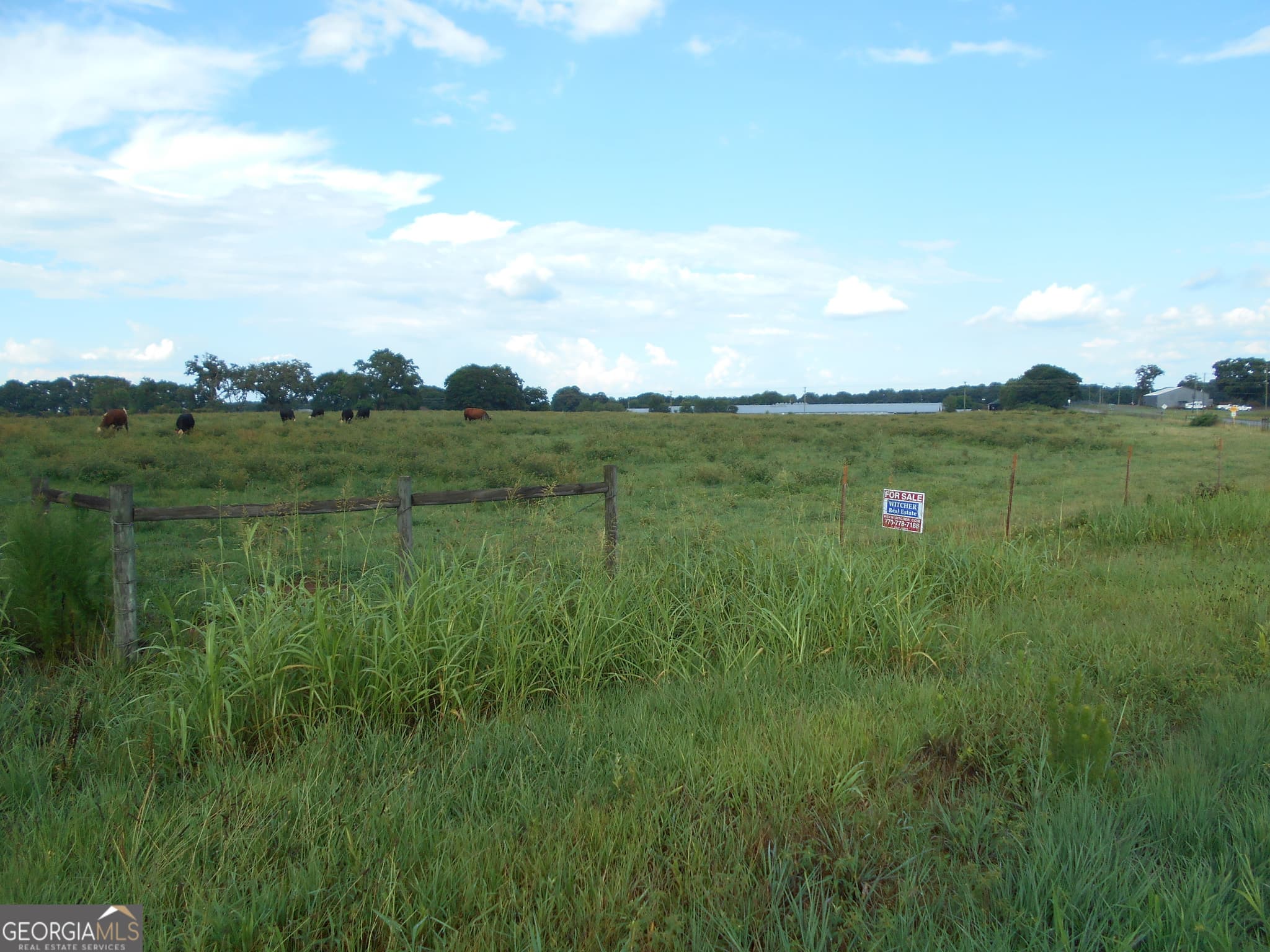 agriculture for sale at 69 ACRES Elberton Highway, Hartwell, GA 30643 — photo 7