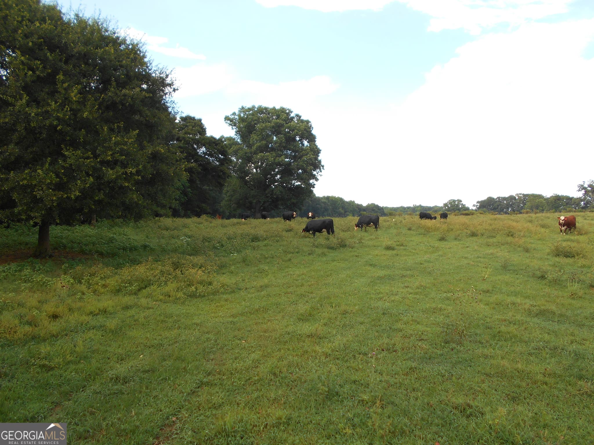 agriculture for sale at 69 ACRES Elberton Highway, Hartwell, GA 30643 — photo 9