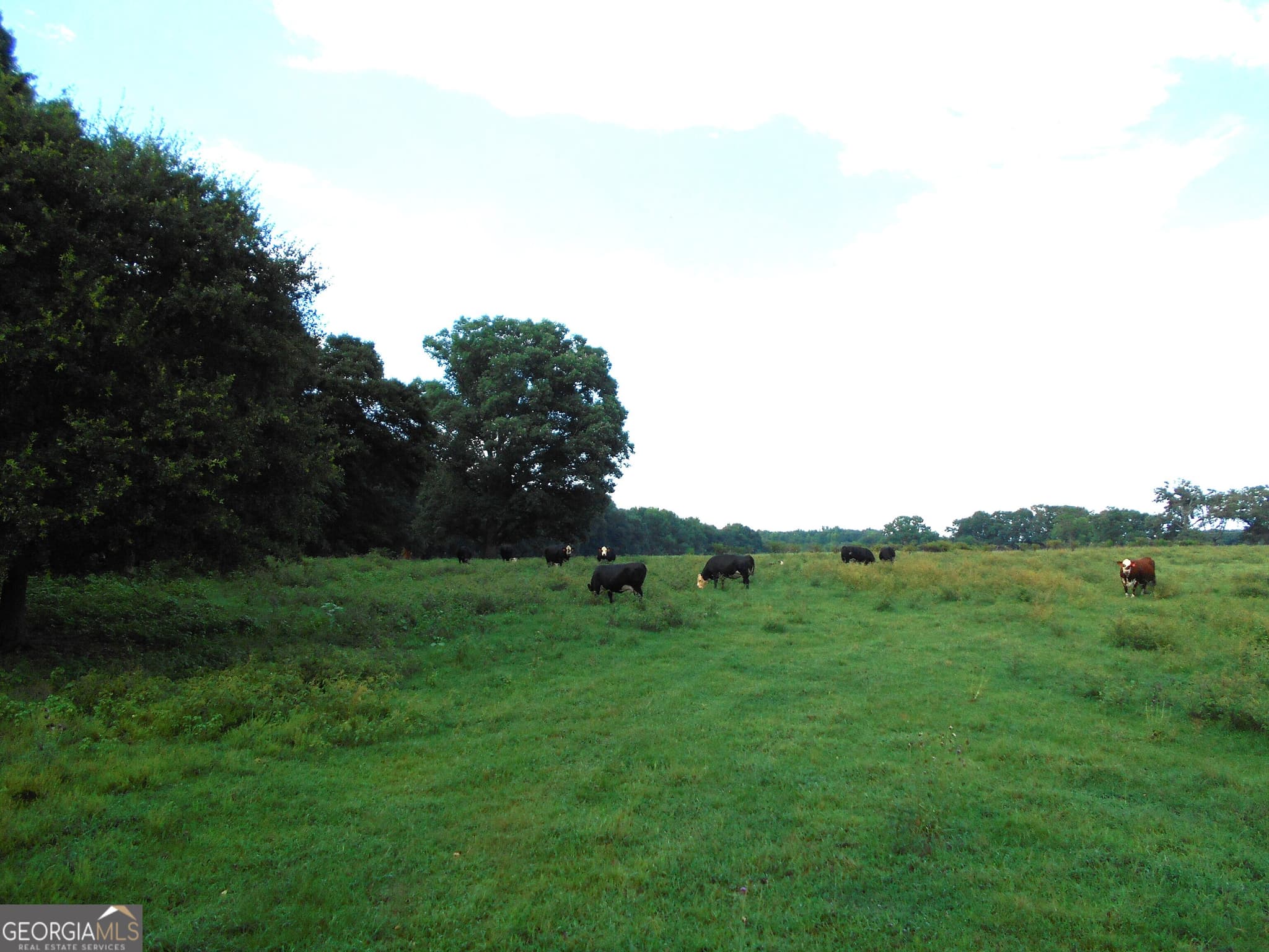agriculture for sale at 69 ACRES Elberton Highway, Hartwell, GA 30643 — photo 10