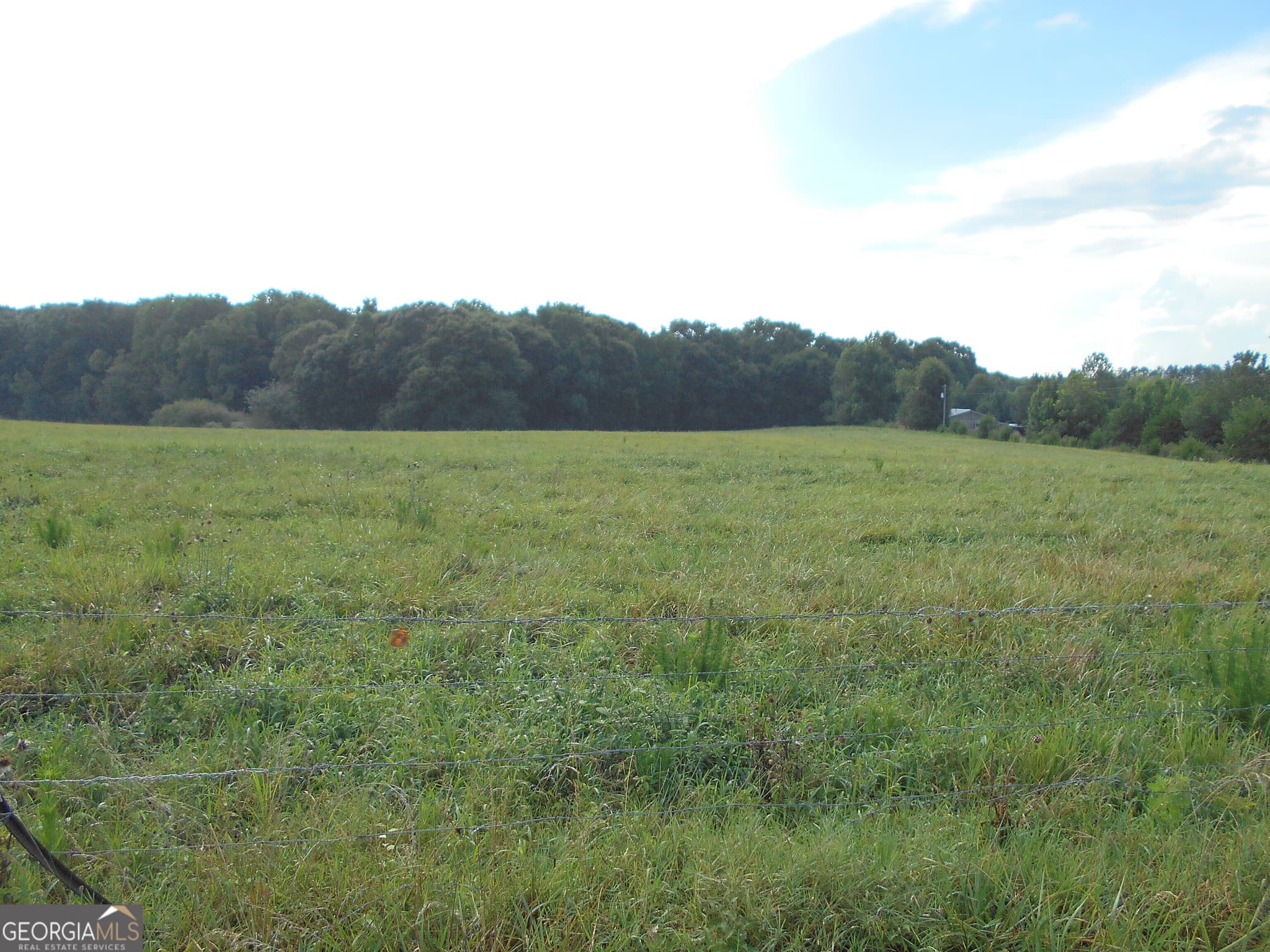 agriculture for sale at 69 ACRES Elberton Highway, Hartwell, GA 30643 — photo 4