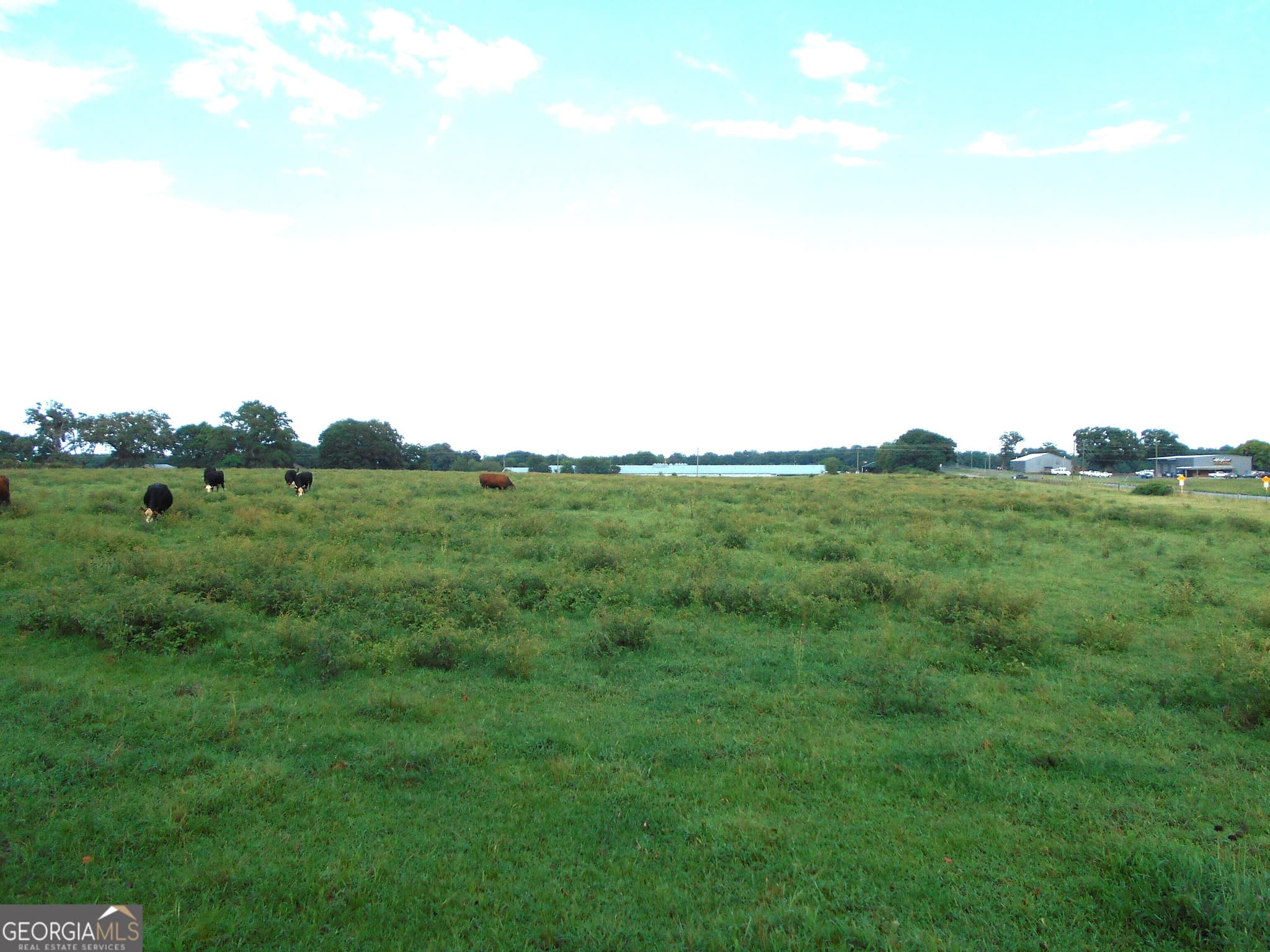agriculture for sale at 69 ACRES Elberton Highway, Hartwell, GA 30643 — photo 8