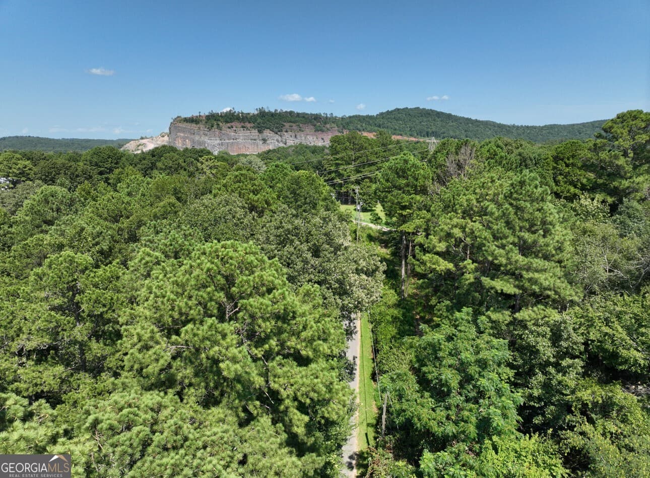 residential lot for sale at 0 Sally Springs Road LOT A, Gadsden, AL 35905 — photo 6