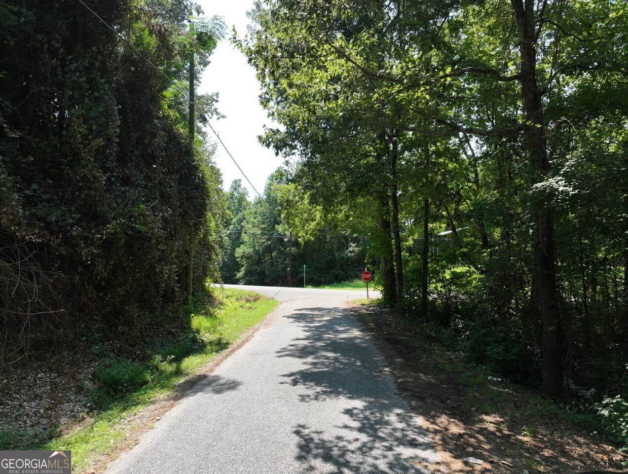 residential lot for sale at 0 Sally Springs Road LOT A, Gadsden, AL 35905 — photo 5