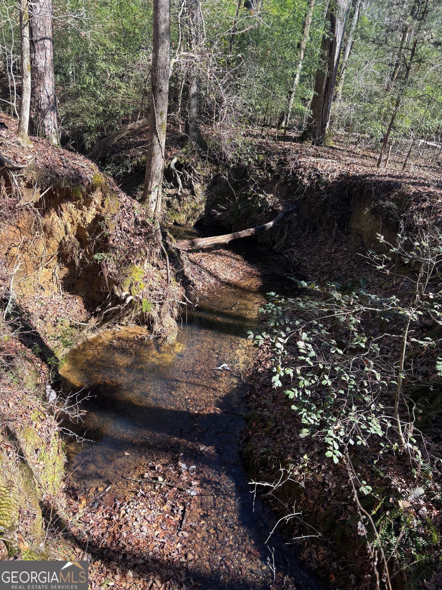 unimproved land for sale at 0 Durand Highway, Warm Springs, GA 31830 — photo 6