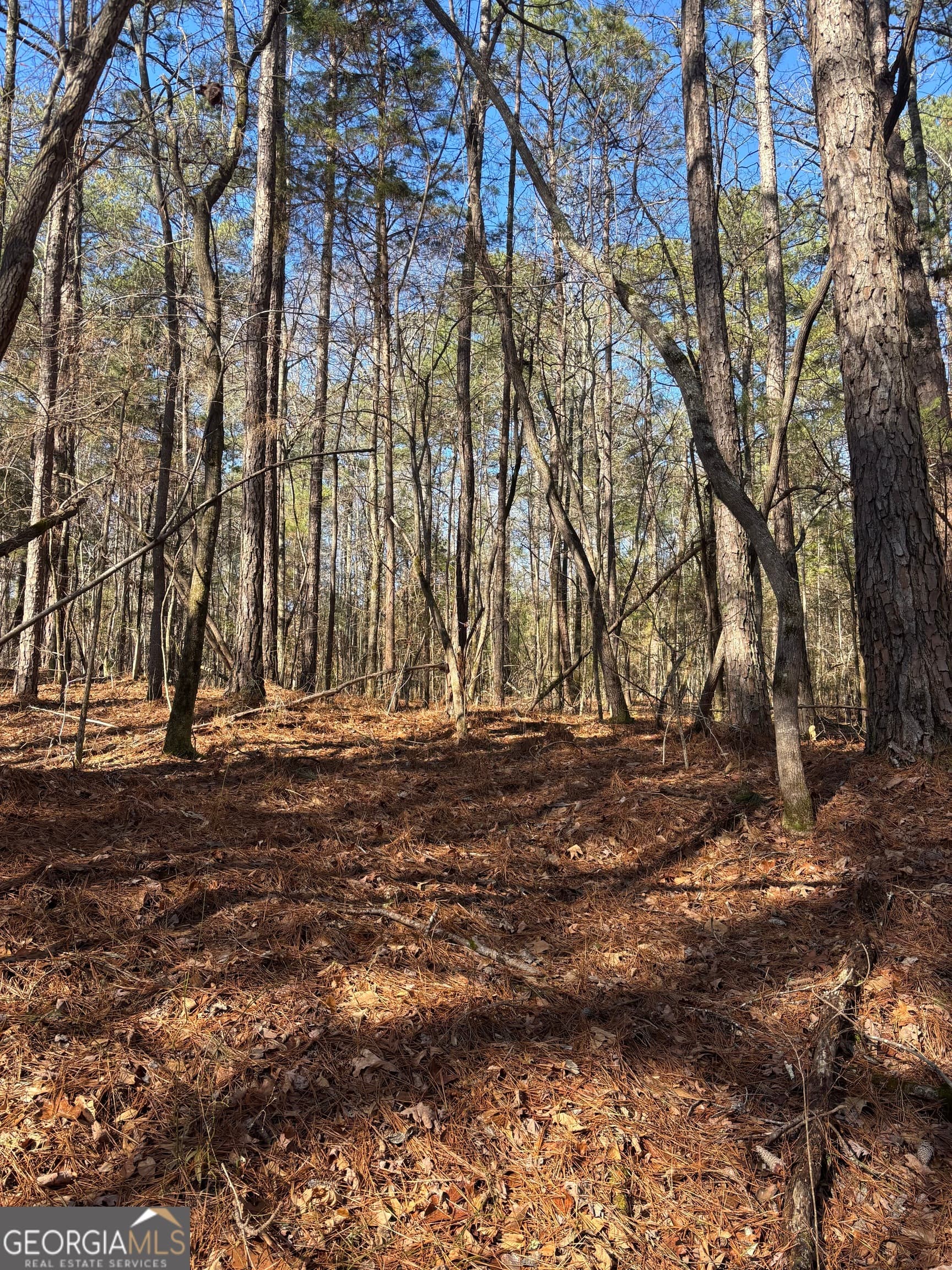 unimproved land for sale at 0 Durand Highway, Warm Springs, GA 31830 — photo 7