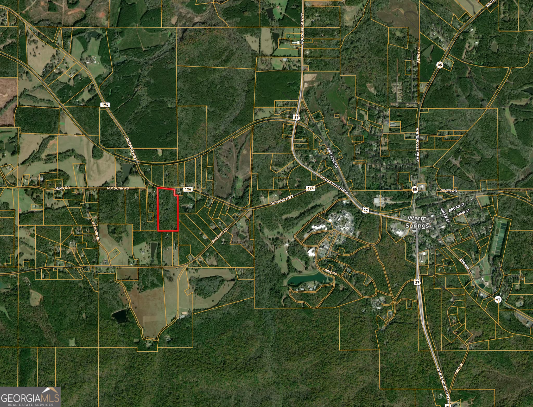 unimproved land for sale at 0 Durand Highway, Warm Springs, GA 31830 — photo 3