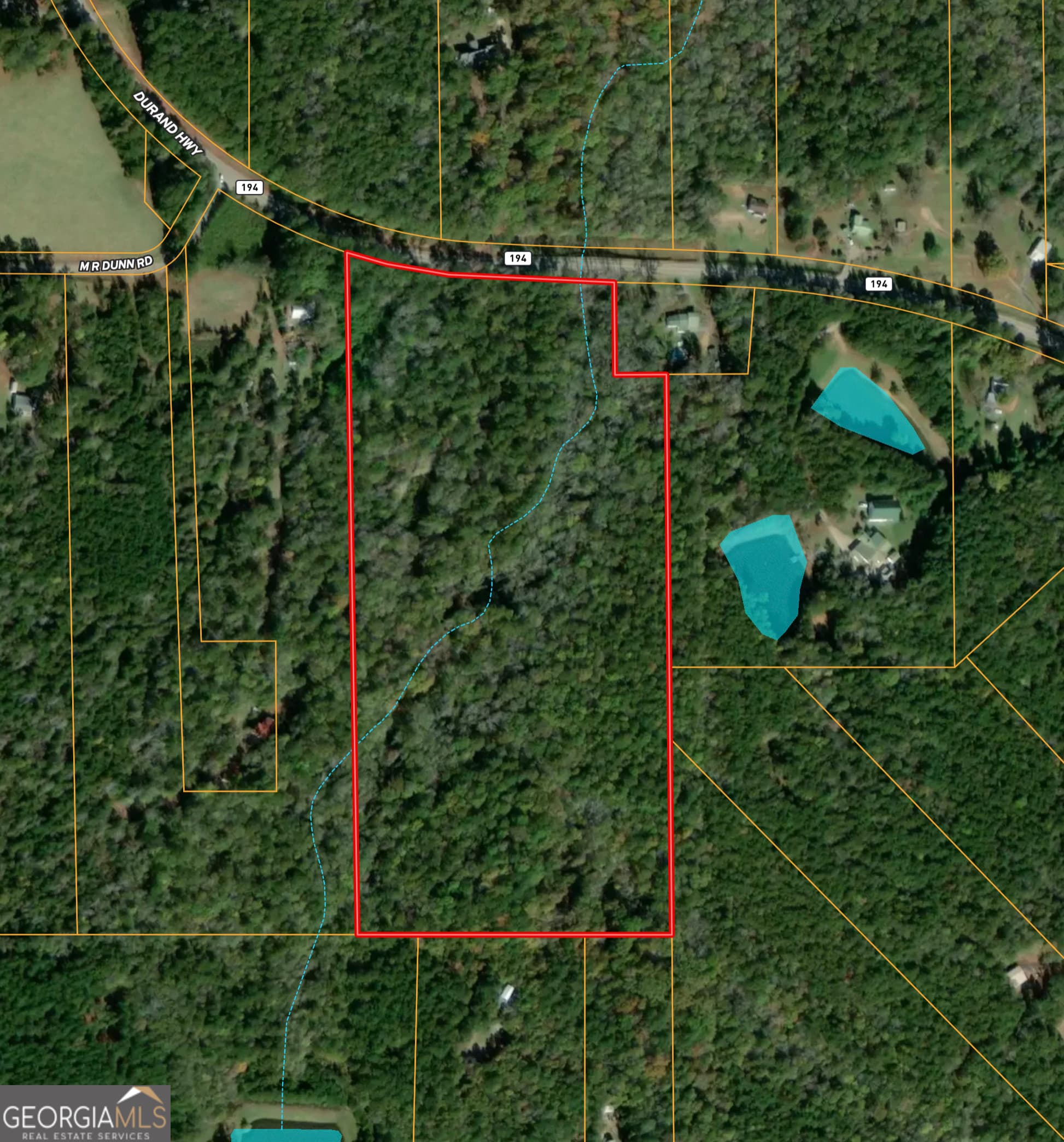 unimproved land for sale at 0 Durand Highway, Warm Springs, GA 31830 — photo 1 of 9