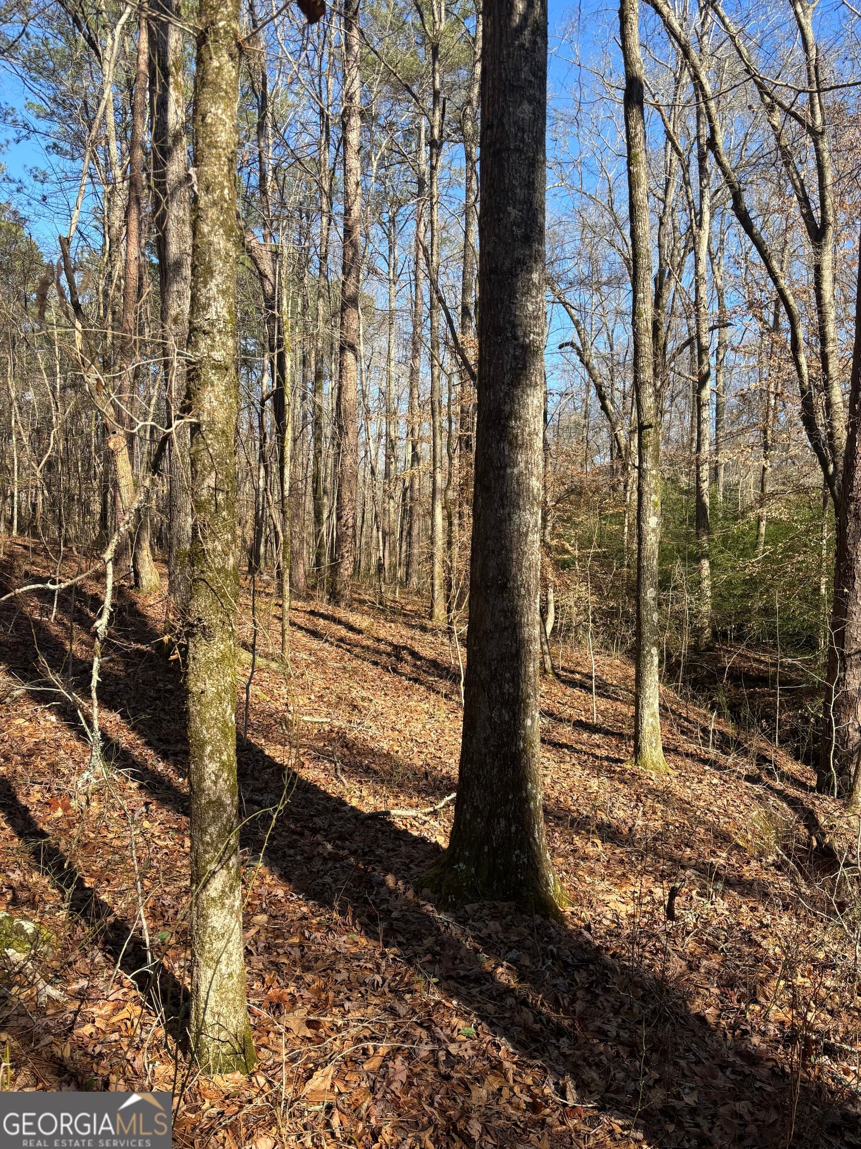 unimproved land for sale at 0 Durand Highway, Warm Springs, GA 31830 — photo 5