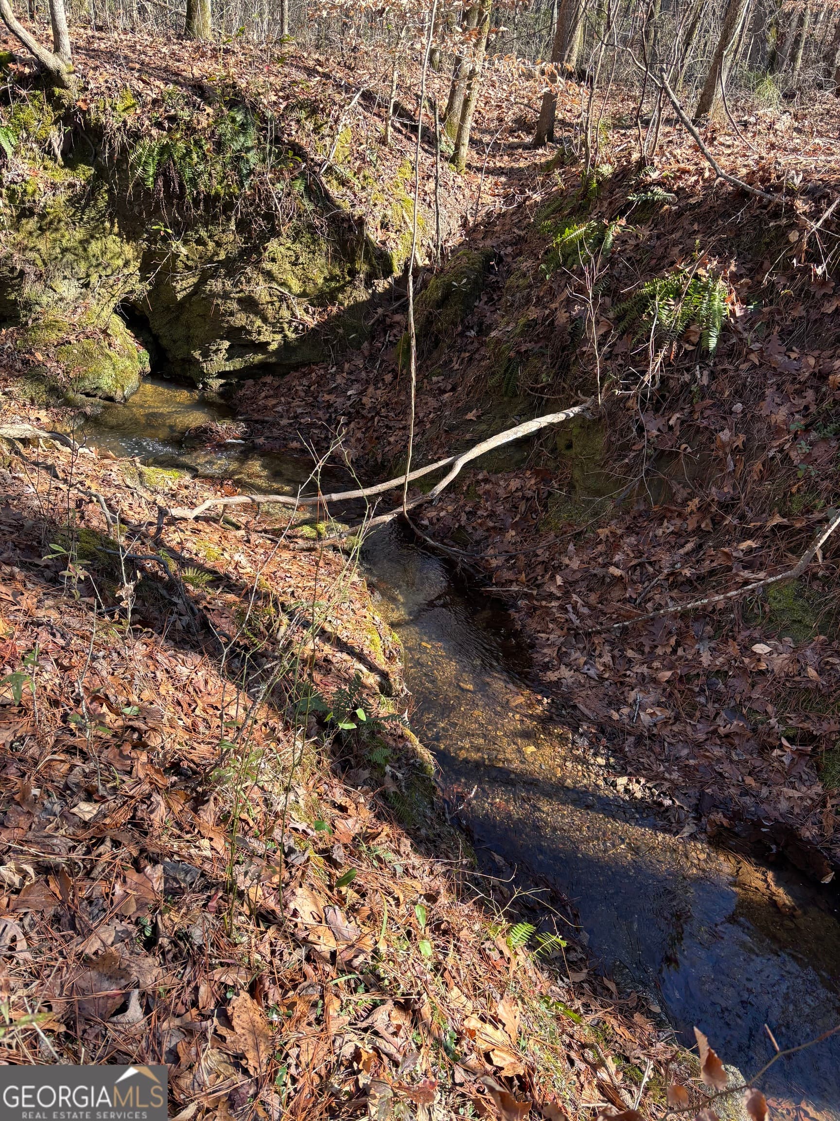 unimproved land for sale at 0 Durand Highway, Warm Springs, GA 31830 — photo 9