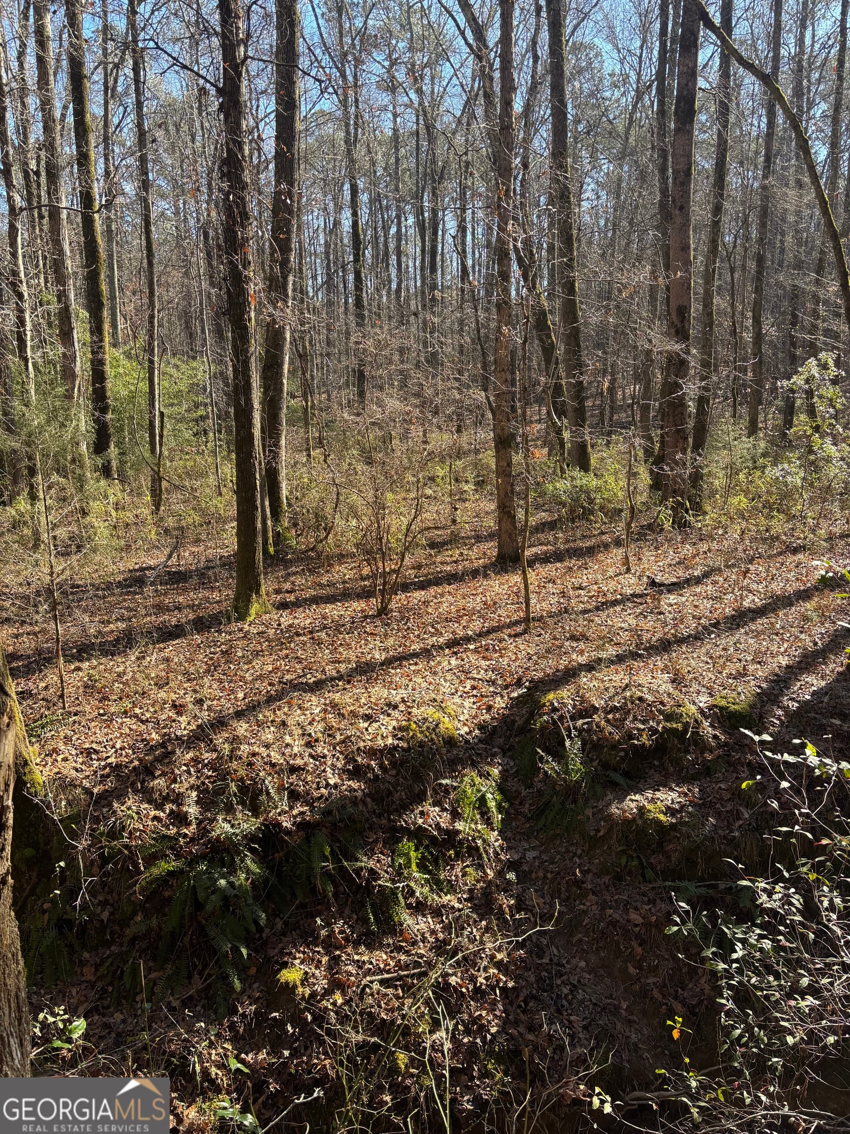 unimproved land for sale at 0 Durand Highway, Warm Springs, GA 31830 — photo 4