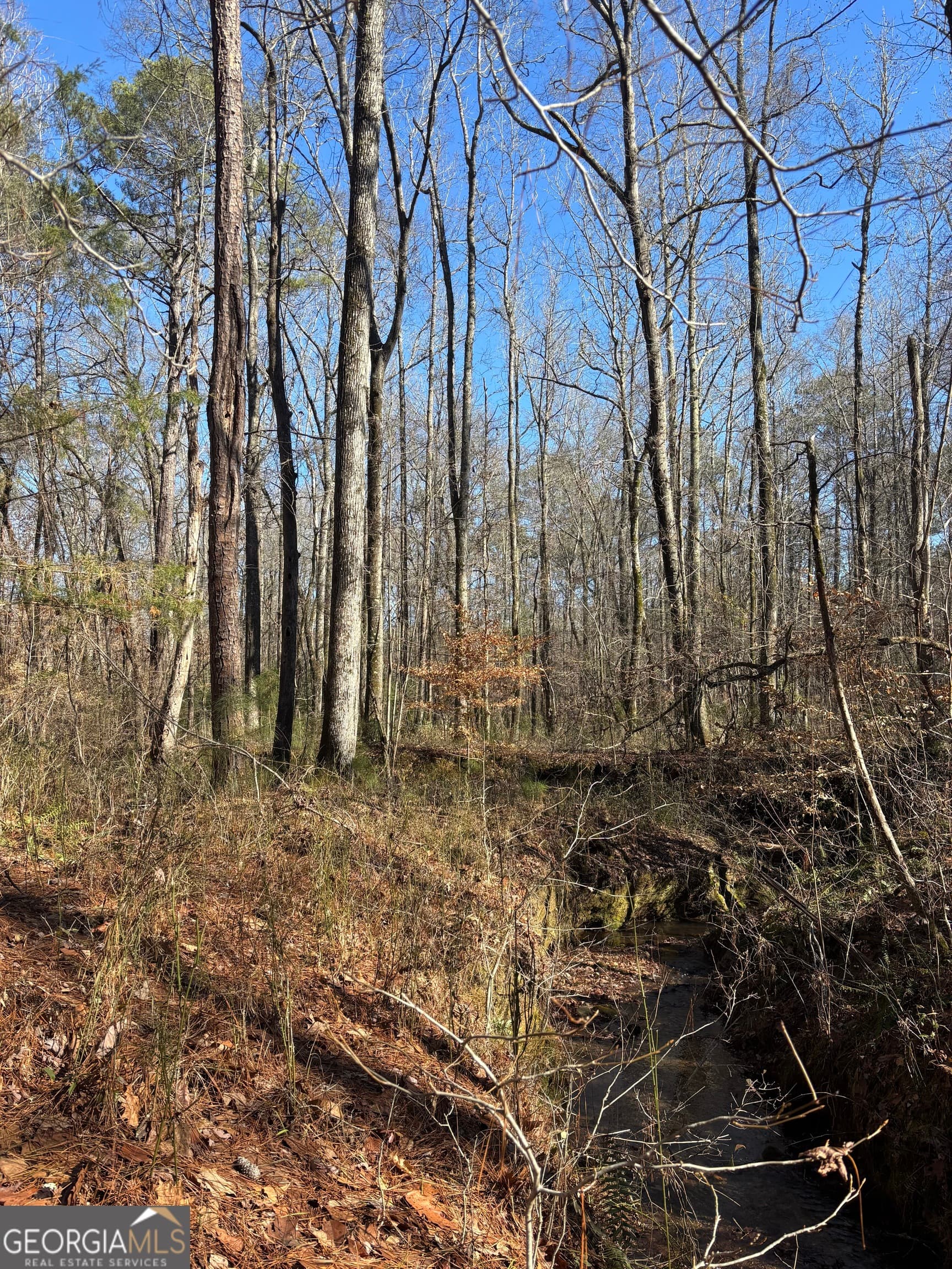 unimproved land for sale at 0 Durand Highway, Warm Springs, GA 31830 — photo 8