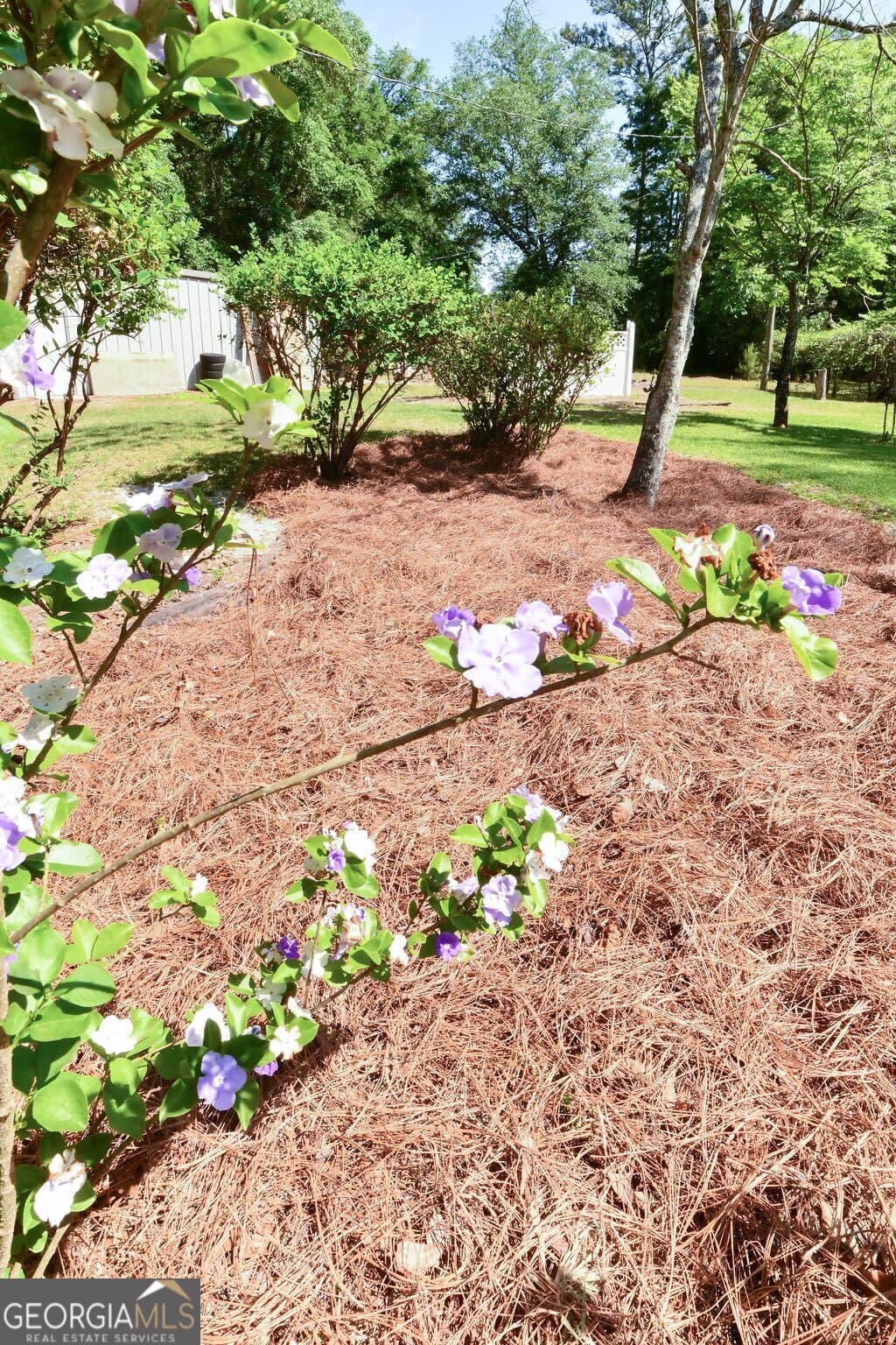 3 bedroom, 3 bathroom, 2,500 sq ft single family residence for sale at 39 Adams Street, Jesup, GA 31545 — photo 4