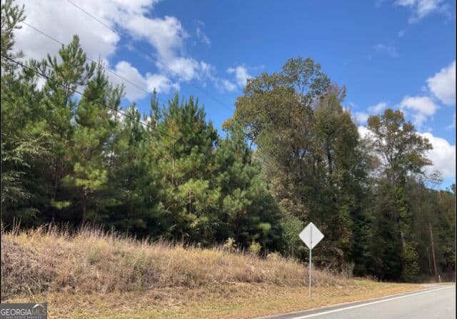 residential lot for sale at 0 Highway 57, Toomsboro, GA 31090 — photo 1 of 2