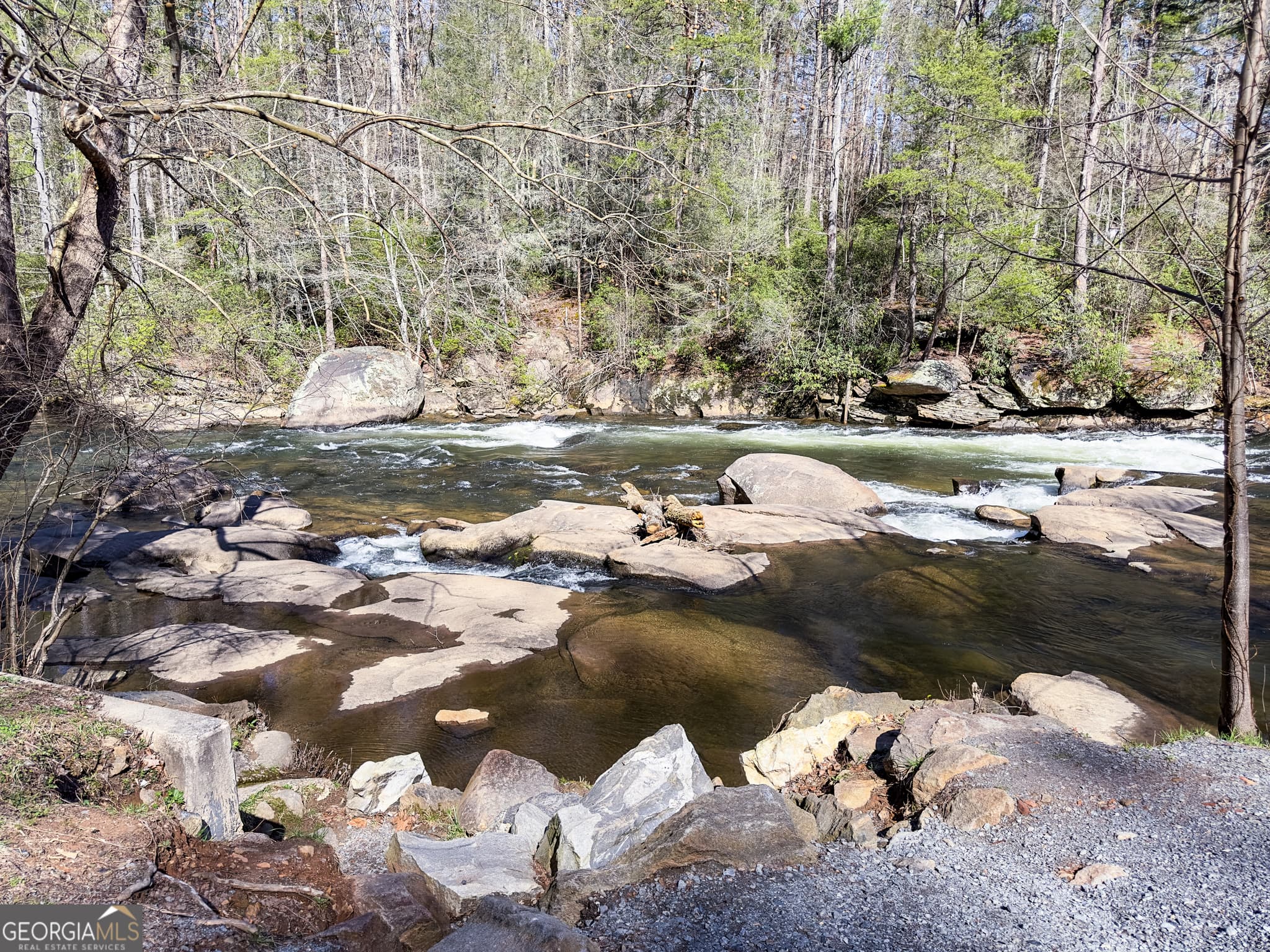 5 bedroom, 3 bathroom, 3,574 sq ft cabin,single family residence for sale at 145 River Bend Lane, Blue Ridge, GA 30513 — photo 5