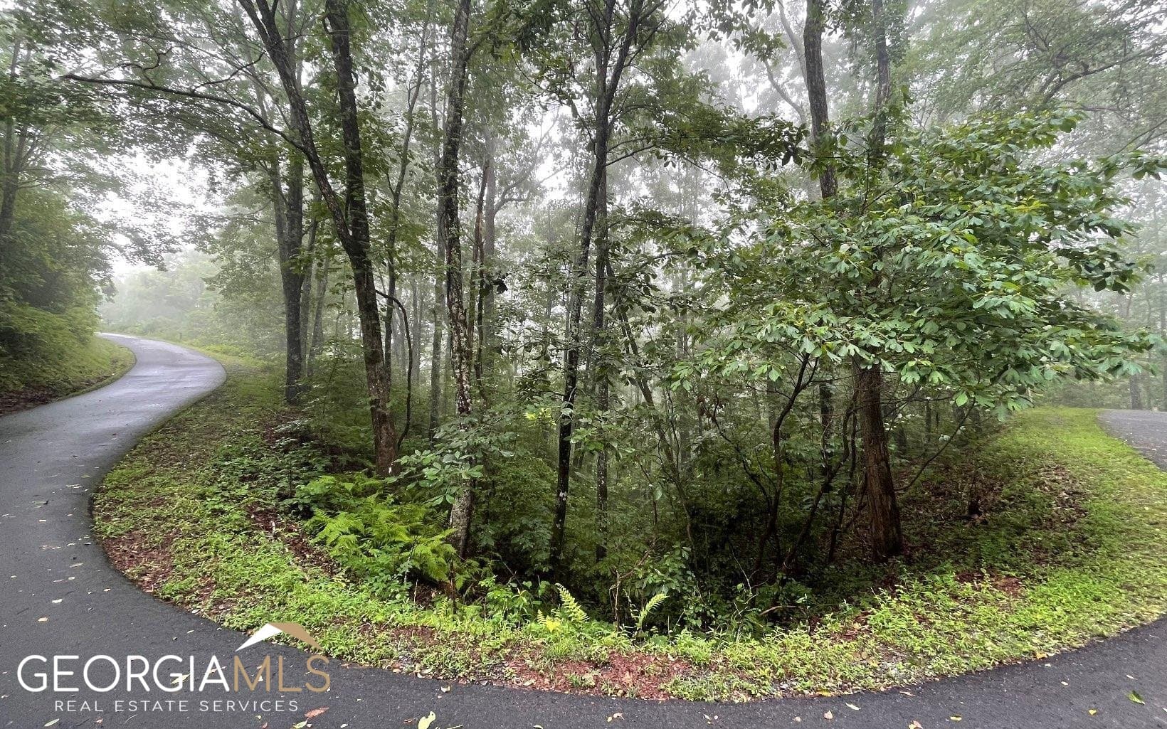 residential lot for sale at LOT 7 Trillium Heights, Hayesville, NC 28904 — photo 3