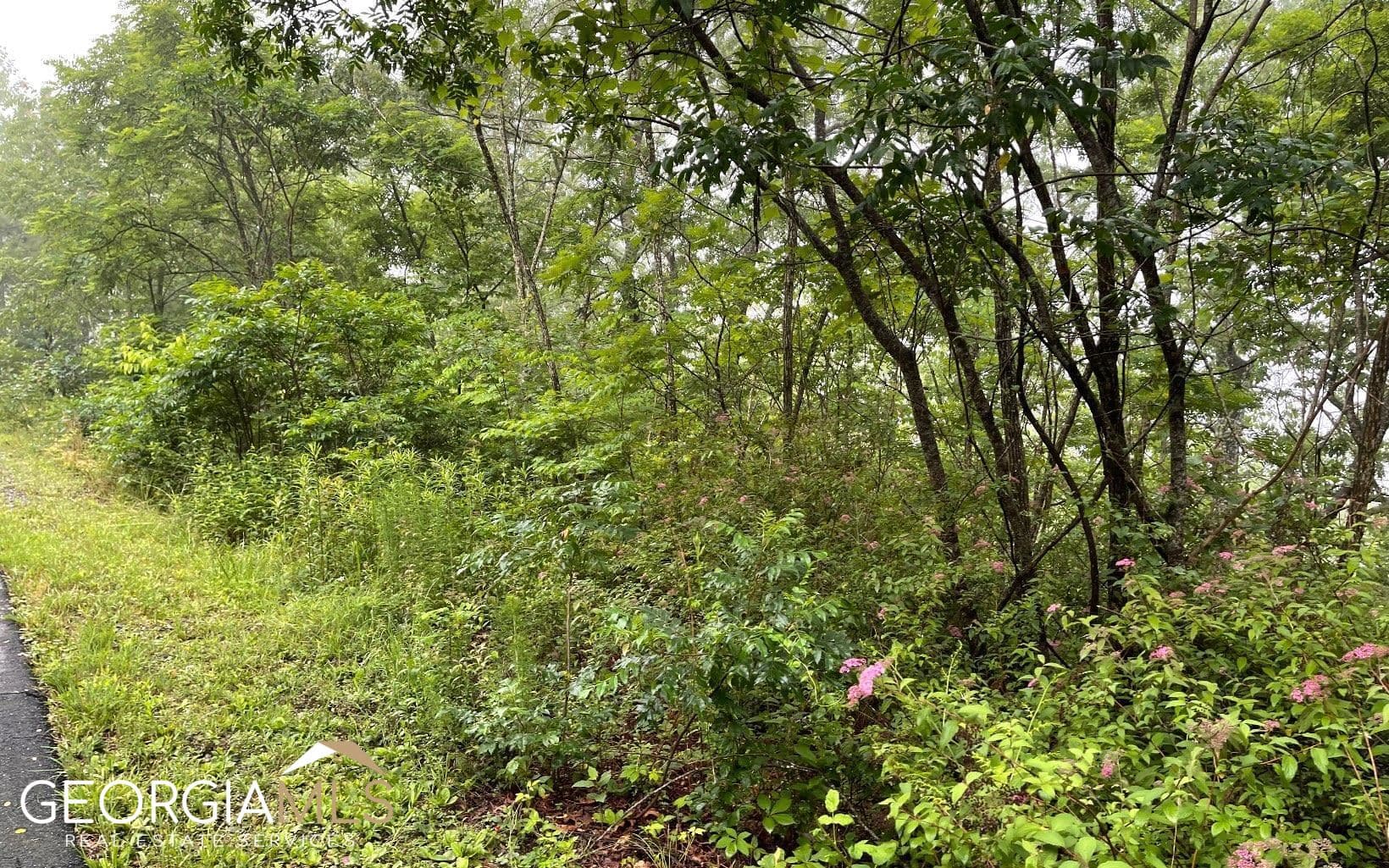residential lot for sale at LOT 7 Trillium Heights, Hayesville, NC 28904 — photo 1 of 18