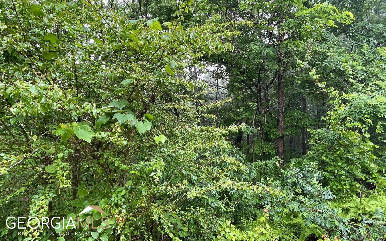 residential lot for sale at LOT 7 Trillium Heights, Hayesville, NC 28904 — photo 9