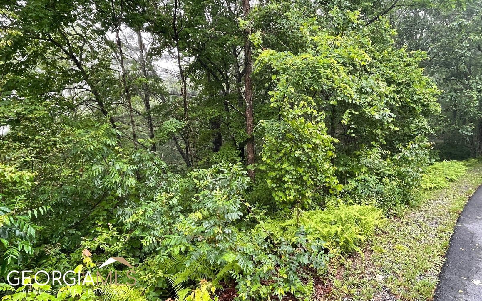 residential lot for sale at LOT 7 Trillium Heights, Hayesville, NC 28904 — photo 10