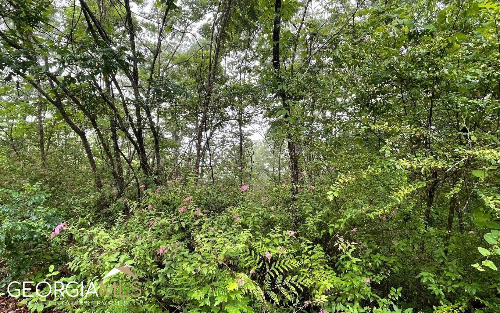 residential lot for sale at LOT 7 Trillium Heights, Hayesville, NC 28904 — photo 8