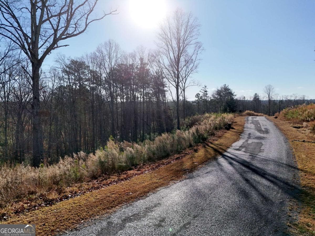 residential lot for sale at LOT 173 Lecroy Drive, Ellijay, GA 30540 — photo 6