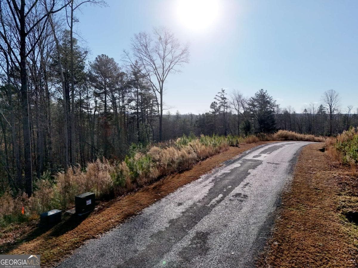 residential lot for sale at LOT 173 Lecroy Drive, Ellijay, GA 30540 — photo 7