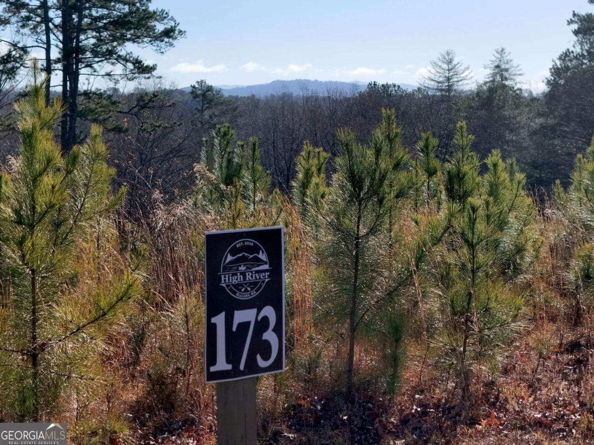 residential lot for sale at LOT 173 Lecroy Drive, Ellijay, GA 30540 — photo 3