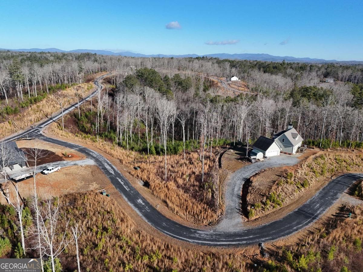 residential lot for sale at LOT 173 Lecroy Drive, Ellijay, GA 30540 — photo 9