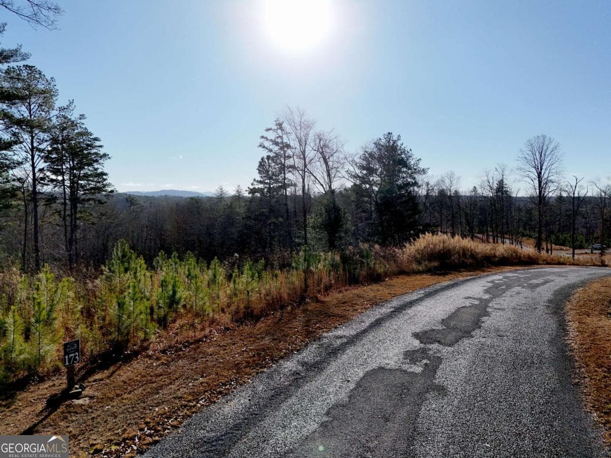 residential lot for sale at LOT 173 Lecroy Drive, Ellijay, GA 30540 — photo 10