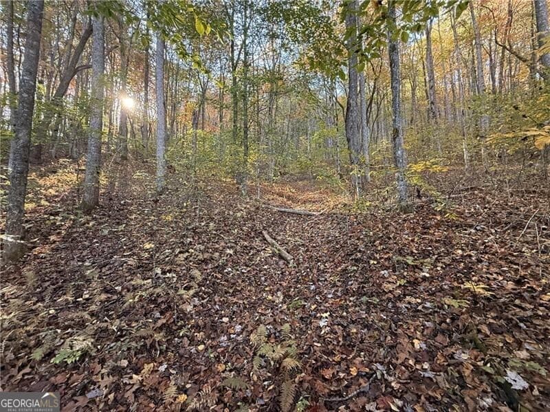 unimproved land for sale at 0 O'V Justus Road, Rabun Gap, GA 30568 — photo 2