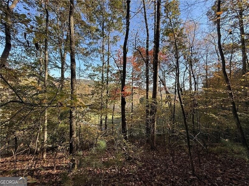 unimproved land for sale at 0 O'V Justus Road, Rabun Gap, GA 30568 — photo 6