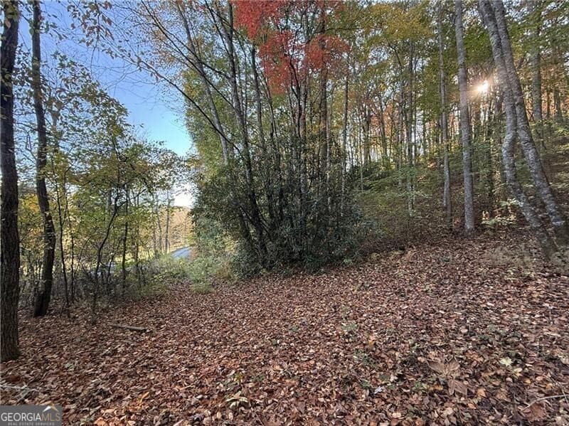 unimproved land for sale at 0 O'V Justus Road, Rabun Gap, GA 30568 — photo 7