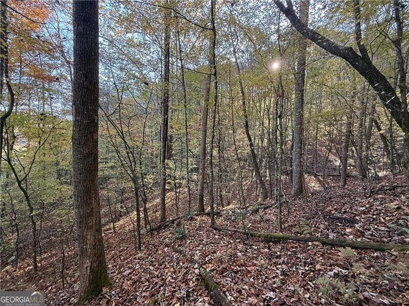 unimproved land for sale at 0 O'V Justus Road, Rabun Gap, GA 30568 — photo 3