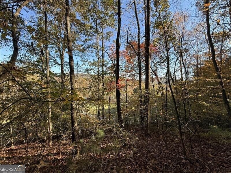 unimproved land for sale at 0 O'V Justus Road, Rabun Gap, GA 30568 — photo 1 of 13
