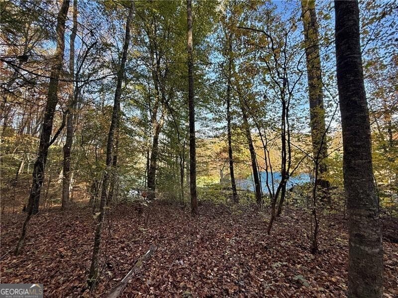unimproved land for sale at 0 O'V Justus Road, Rabun Gap, GA 30568 — photo 5