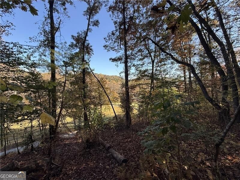 unimproved land for sale at 0 O'V Justus Road, Rabun Gap, GA 30568 — photo 9