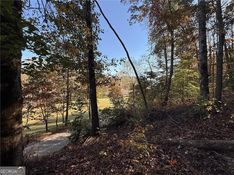 unimproved land for sale at 0 O'V Justus Road, Rabun Gap, GA 30568 — photo 10