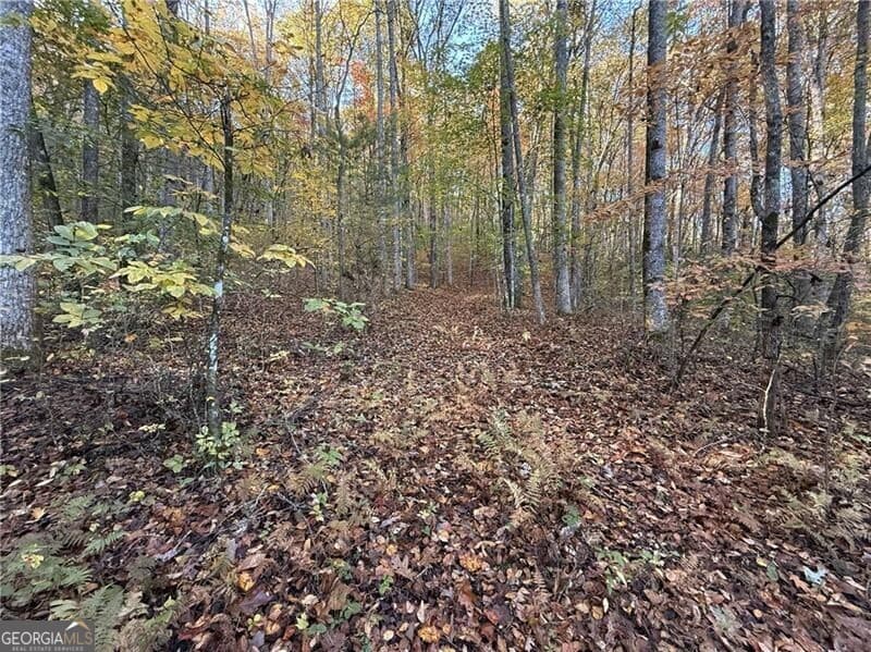 unimproved land for sale at 0 O'V Justus Road, Rabun Gap, GA 30568 — photo 4