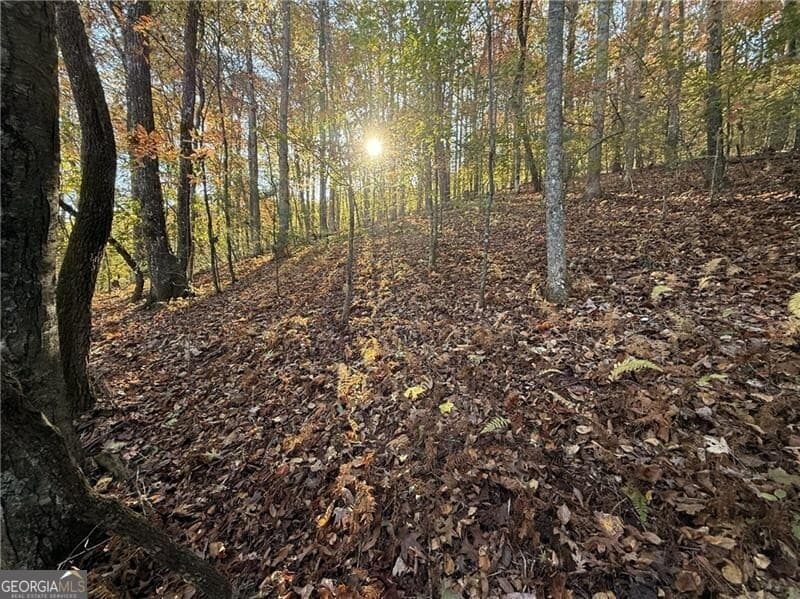 unimproved land for sale at 0 O'V Justus Road, Rabun Gap, GA 30568 — photo 8