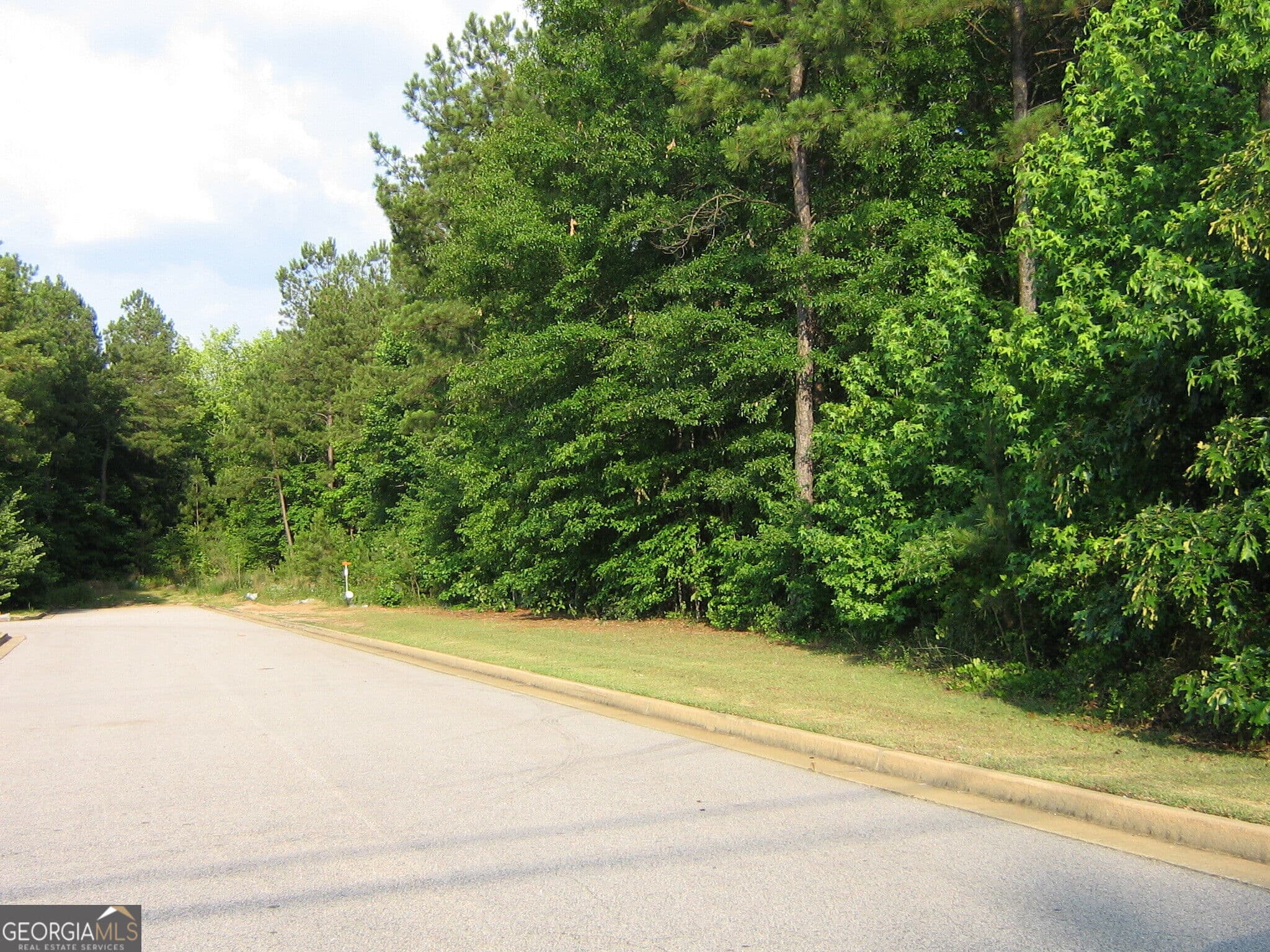 unimproved land for sale at 28.77 ACRES Davis Road, Lagrange, GA 30241 — photo 6