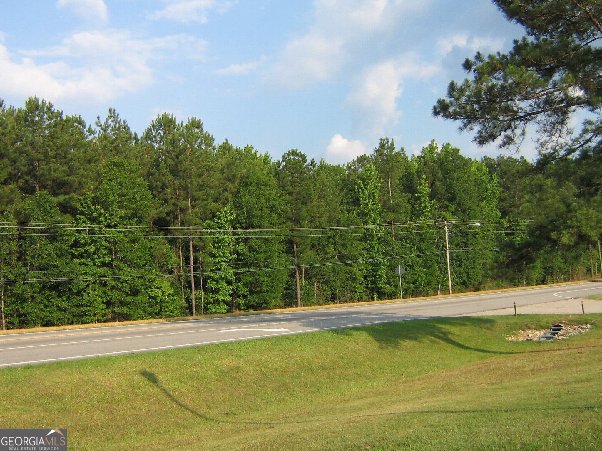unimproved land for sale at 28.77 ACRES Davis Road, Lagrange, GA 30241 — photo 10
