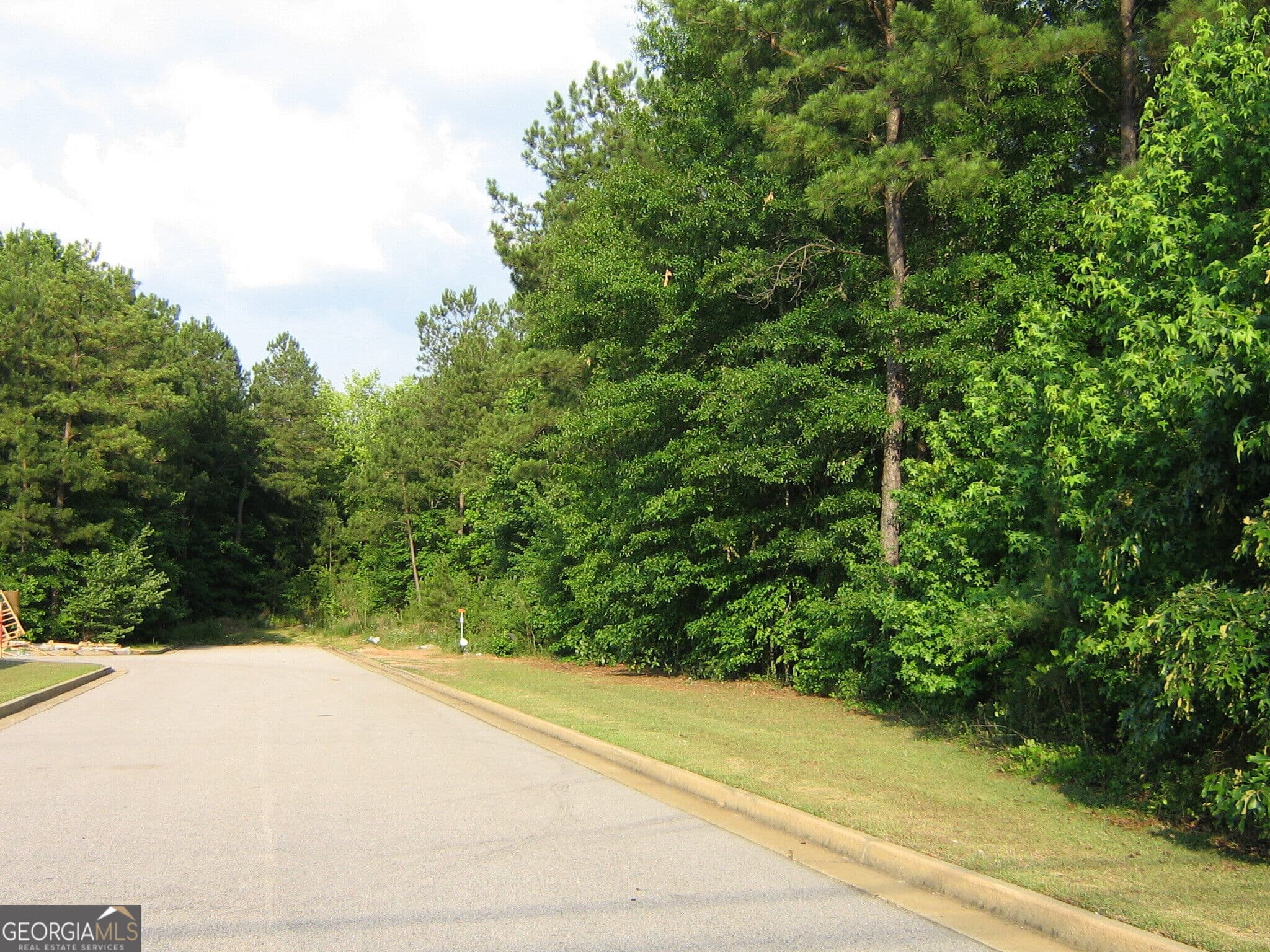 unimproved land for sale at 28.77 ACRES Davis Road, Lagrange, GA 30241 — photo 4