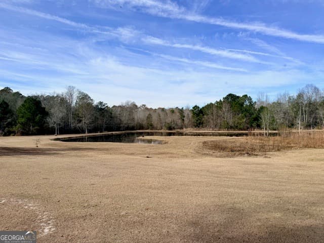 4 bedroom, 3 bathroom, 2,982 sq ft single family residence for sale at 1431 Community Road, Glennville, GA 30427 — photo 5