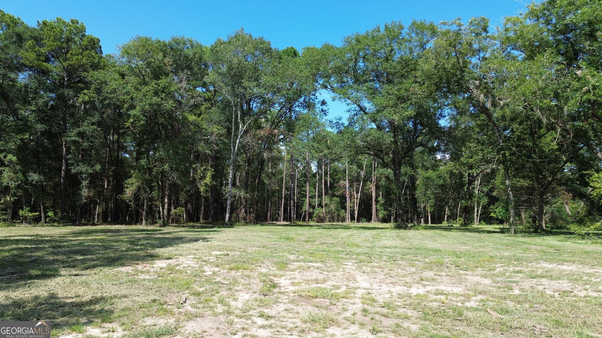 unimproved land for sale at 1046 Homer Bunch Road, Statesboro, GA 30461 — photo 2