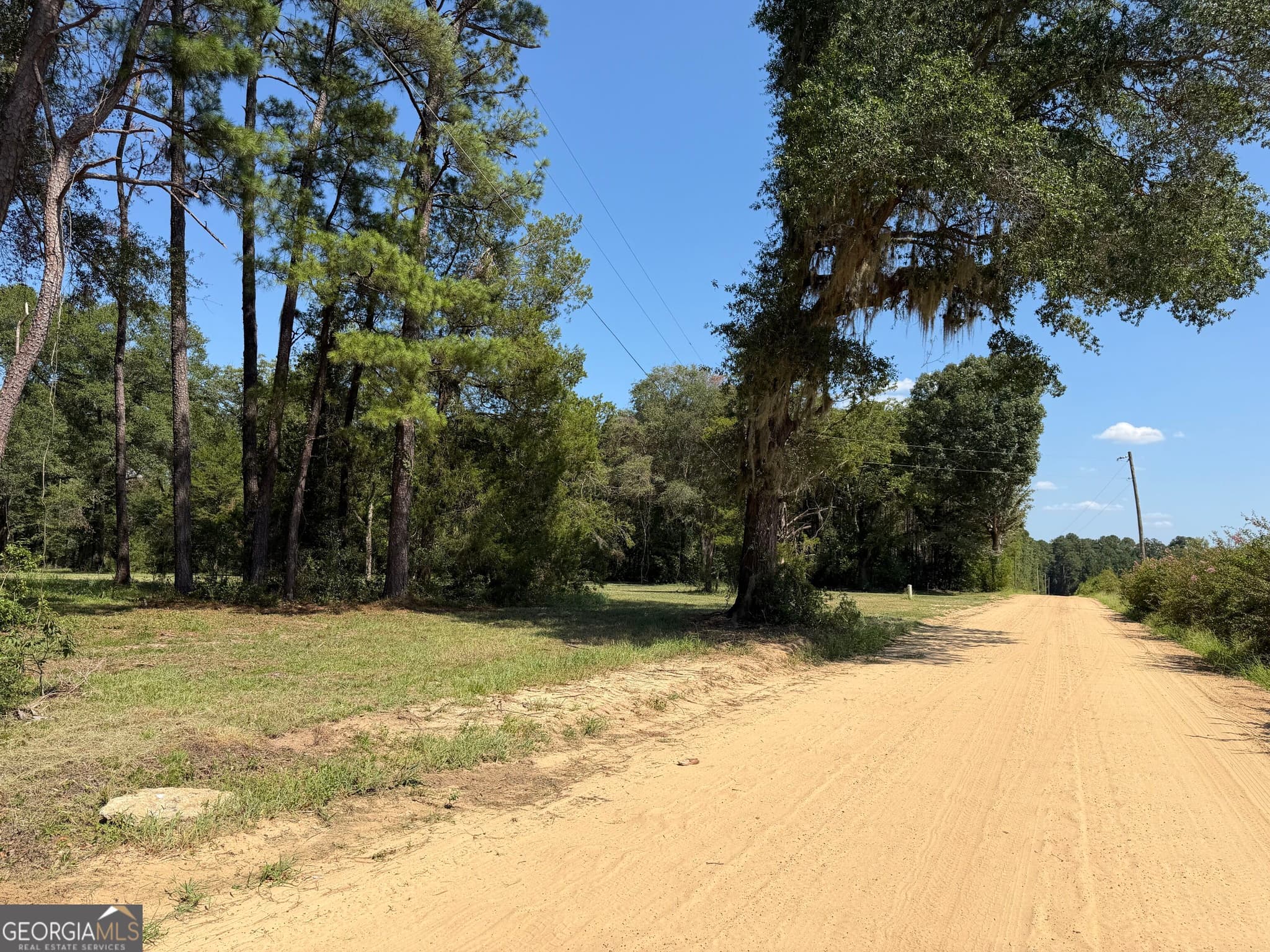 unimproved land for sale at 1046 Homer Bunch Road, Statesboro, GA 30461 — photo 6