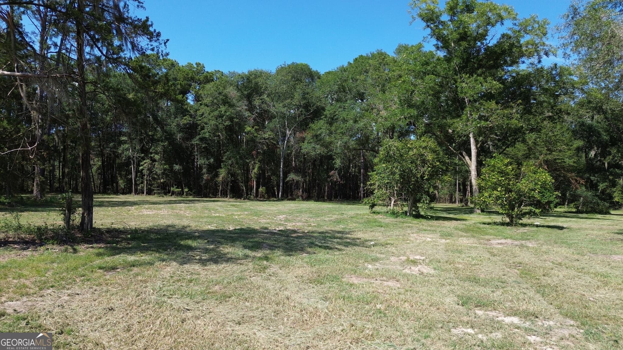 unimproved land for sale at 1046 Homer Bunch Road, Statesboro, GA 30461 — photo 7