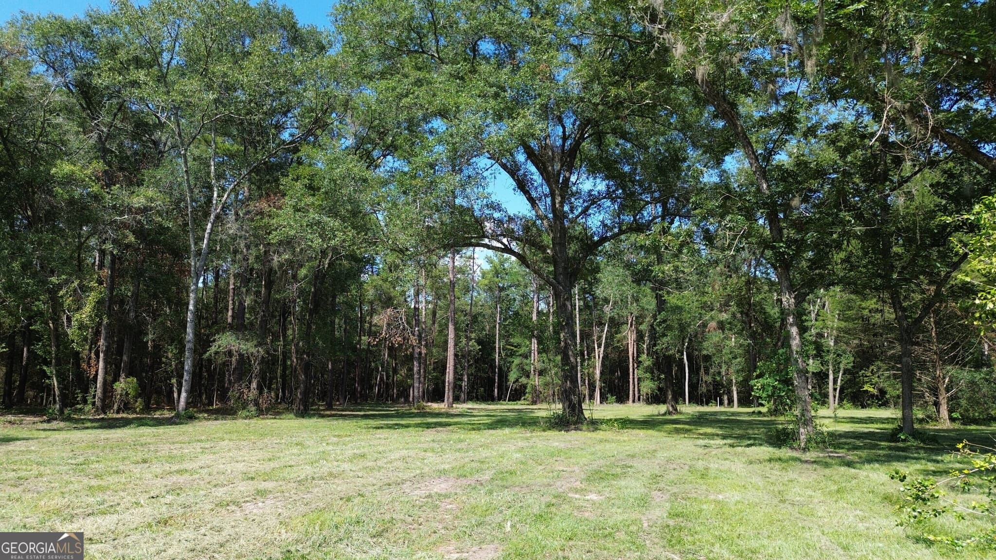unimproved land for sale at 1046 Homer Bunch Road, Statesboro, GA 30461 — photo 3