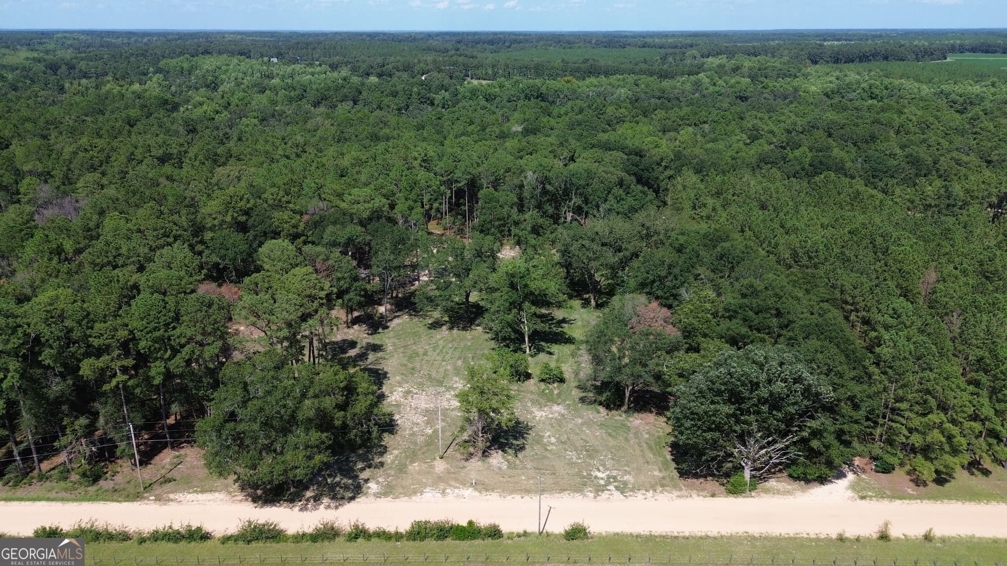 unimproved land for sale at 1046 Homer Bunch Road, Statesboro, GA 30461 — photo 1 of 8
