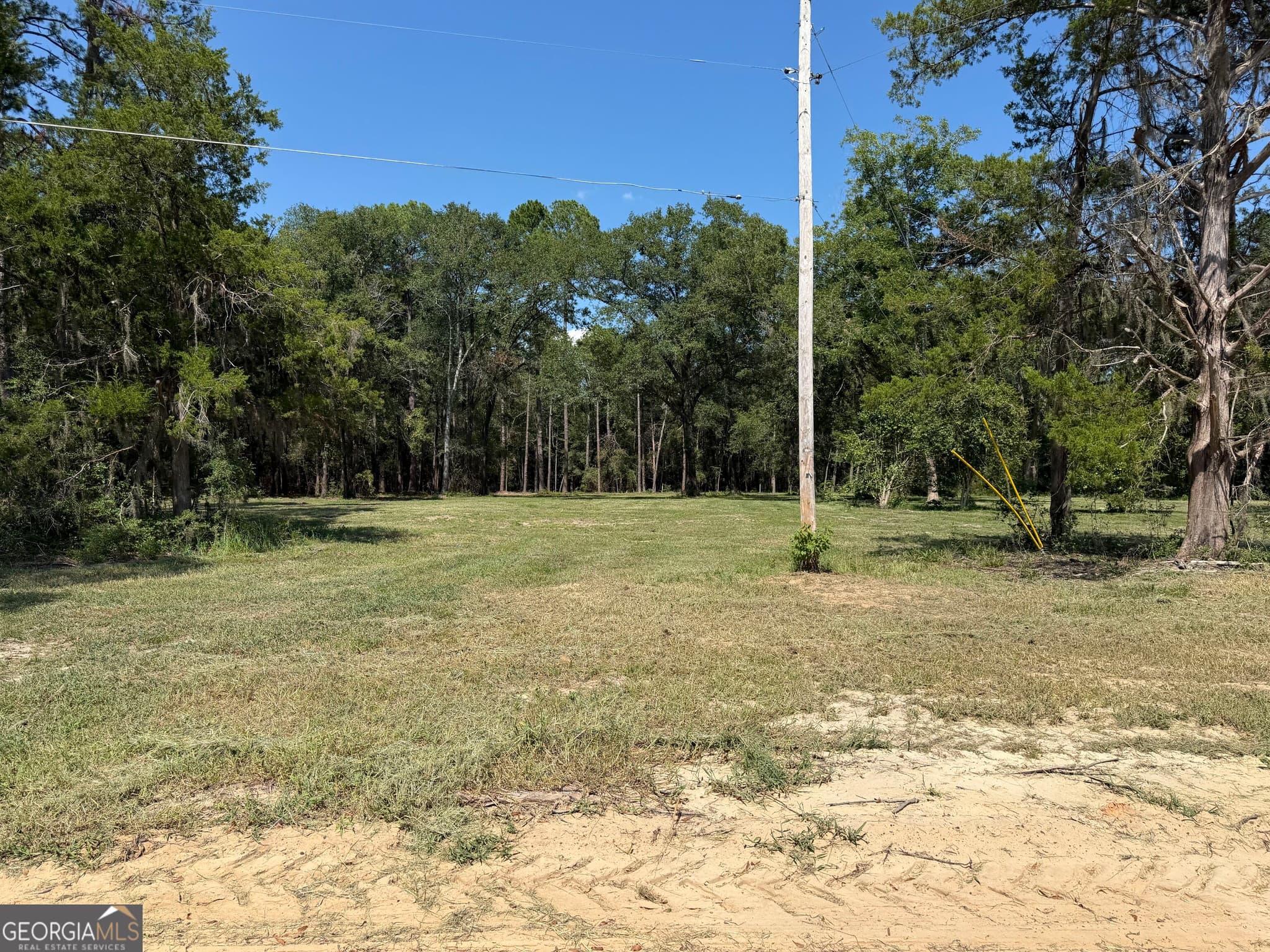 unimproved land for sale at 1046 Homer Bunch Road, Statesboro, GA 30461 — photo 5