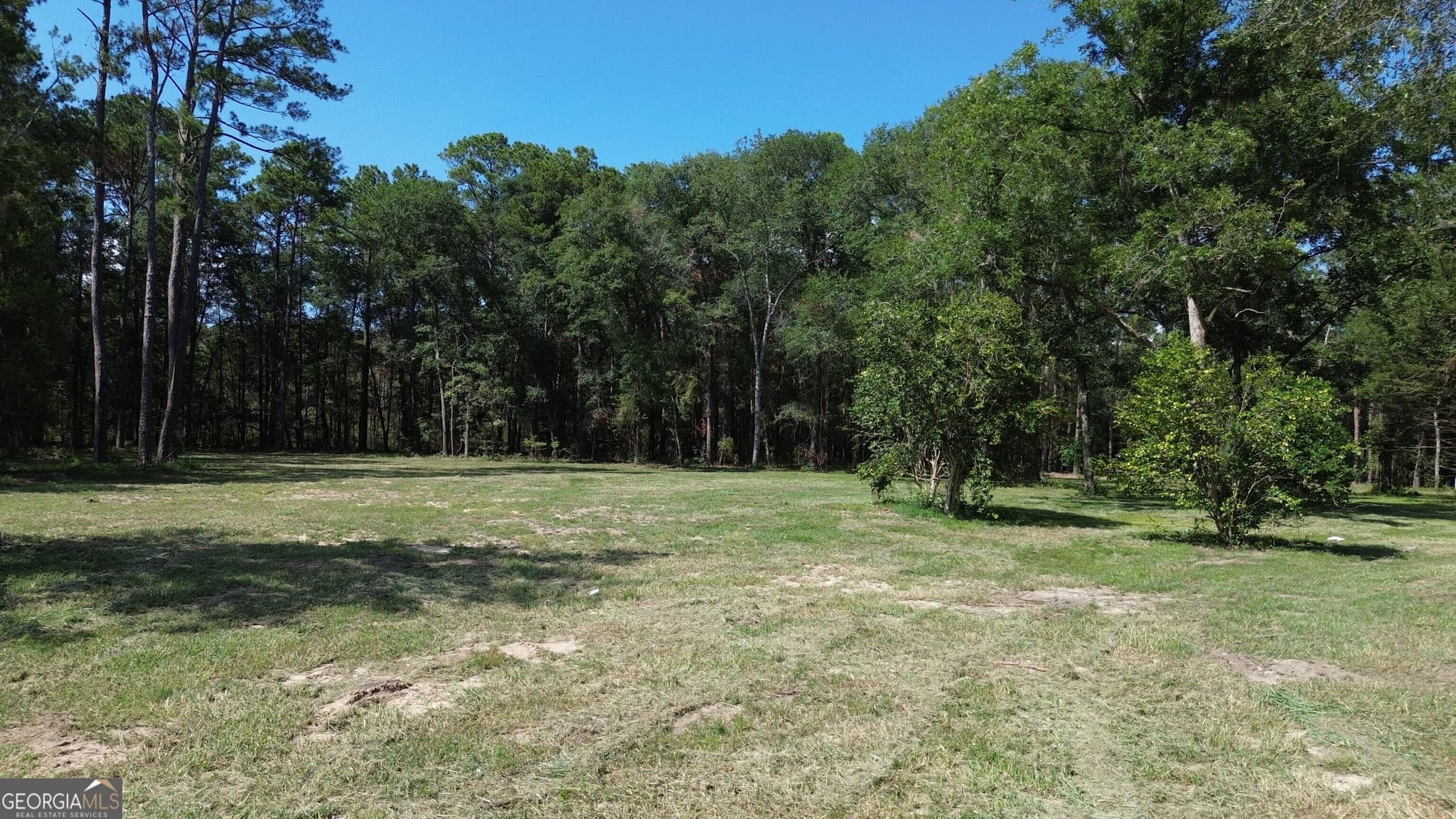 unimproved land for sale at 1046 Homer Bunch Road, Statesboro, GA 30461 — photo 4