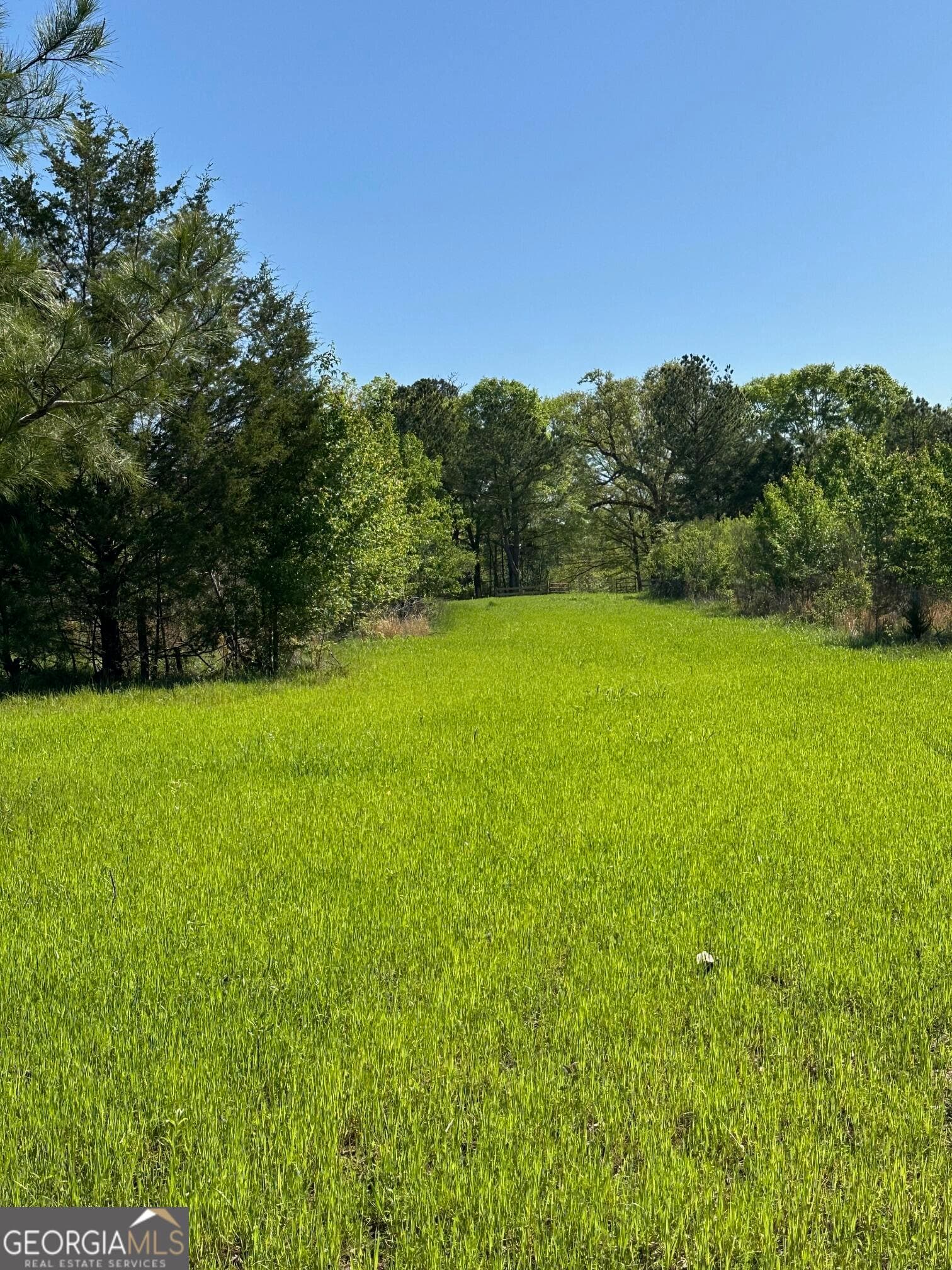 agriculture for sale at 0 West Road, Concord, GA 30206 — photo 2